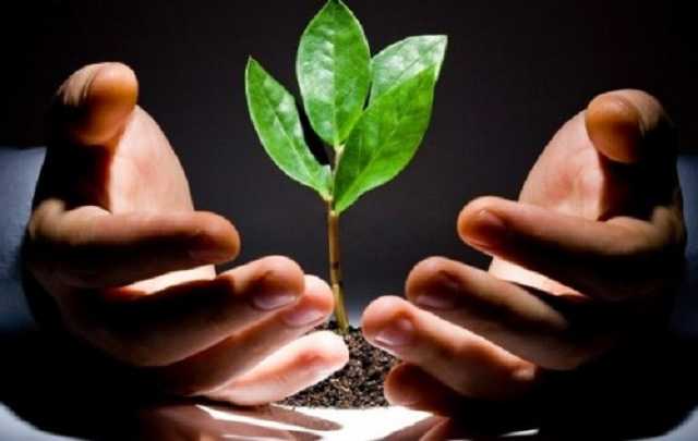 На инвестпроекты в АПК потратили 37 млрд грн