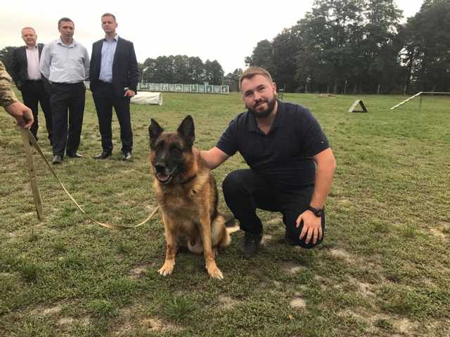 Лозовой: На меня напала «лесная мафия»