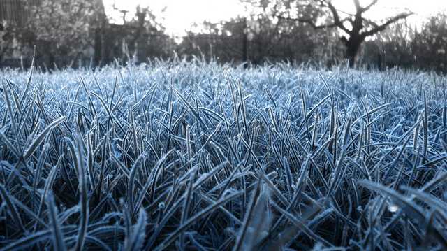 В начале следующей недели украинцев ждет резкое похолодание