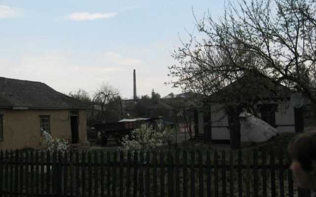 Синий кит вернулся? Под Винницей массовое самоубийство подростков