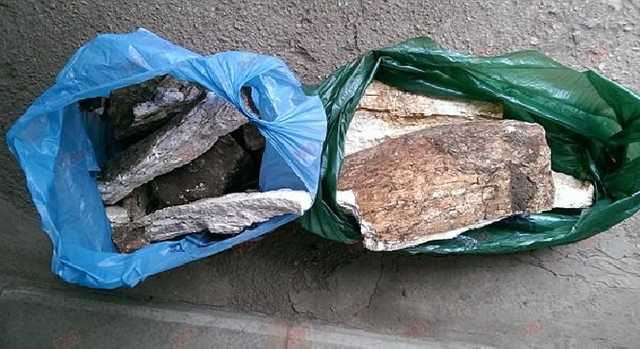 В Бердянске нашли останки мамонта