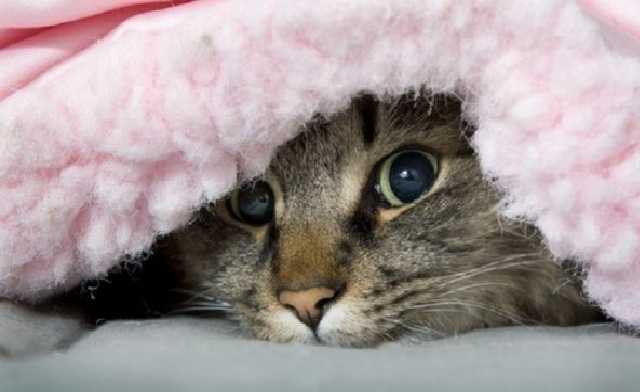 Синоптики сообщили о резком изменении погоды на сегодня