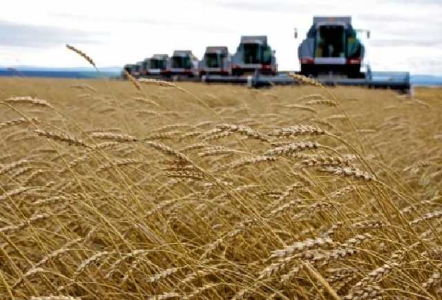 Аграрии Житомирщины требуют у руководства МВД защиты от группировки Попова