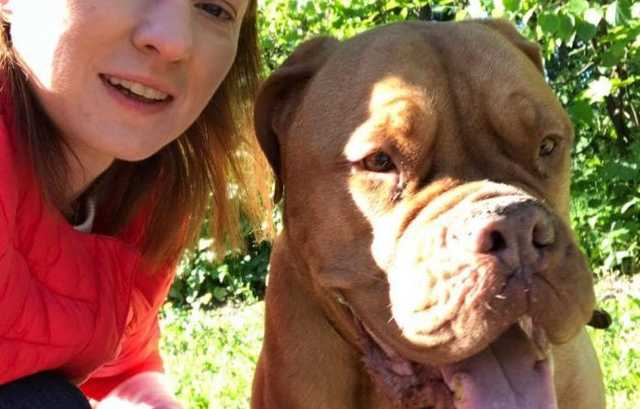 "Собак і котів на селі переписувати не будуть", – нардеп Ірина Суслова