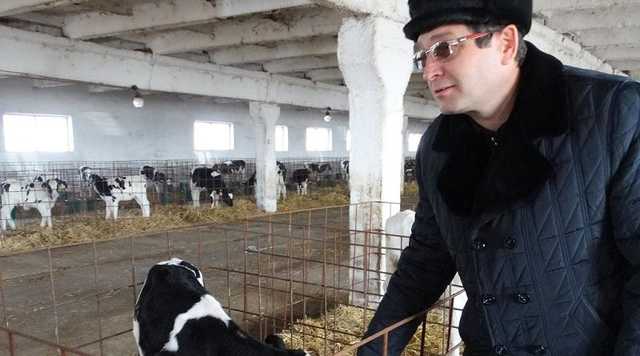 Несен Валентин розробив новий шахрайський спосіб заробітку коштів, Агрофірма «Оржицька» тому приклад