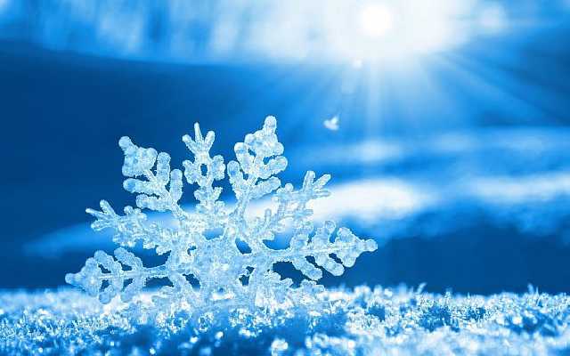 Коммунальщики в Киеве посыпали дороги солью на случай снегопада