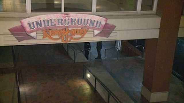 В США неизвестный расстрелял посетителей концерта: есть жертвы