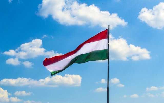 На Закарпатье пытались сжечь флаг Венгрии