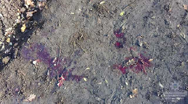 Водитель убил попутчика, отказавшегося сходить за бензином