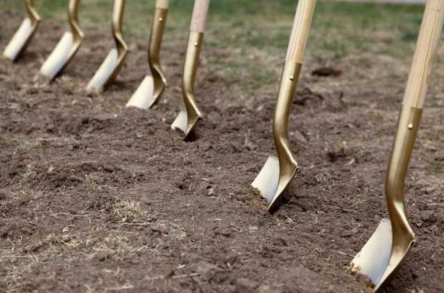 Депутаты, сместившие главу райсовета, тут же занялись аферами с землей (документ)