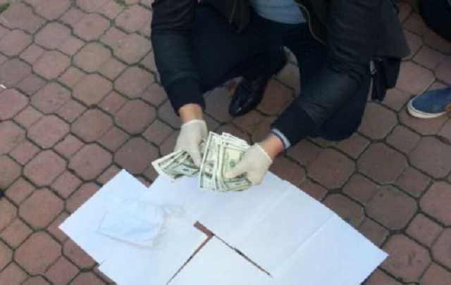 "Я понял, что большинство активистов и волонтеров – это приспособленцы", – юрист