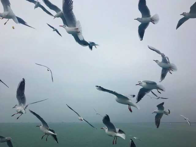 Пляж в Криму виявився могилою дитини, з’явилися фото