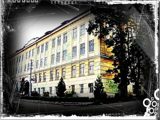 На Тернопільщині чоловіки на мікроавтобусі намагалися викрасти з-під школи дітей