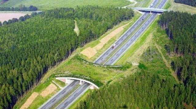 В Украине появятся еще одни «новации» на дорогах