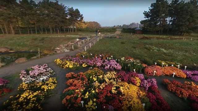 Ботсад Киева бьет тревогу: сотрудники боятся, что территорию застроят