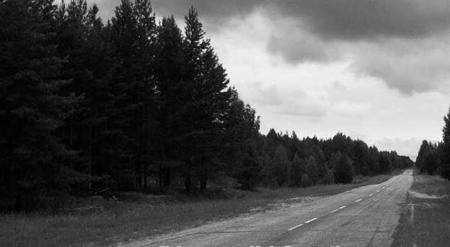 В лесополосе на окраине Киева обнаружили тела двух молодых кавказцев