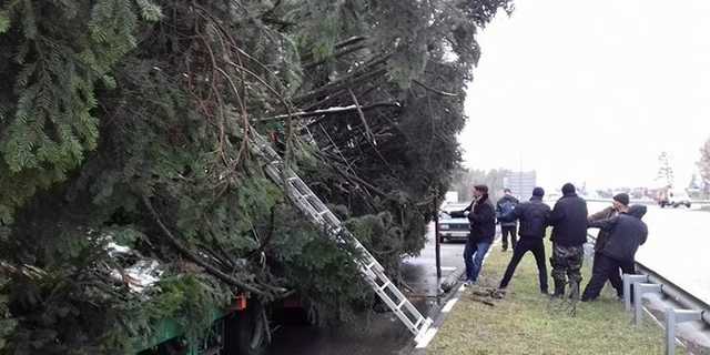 Главная елка Украины попала в двойное ДТП