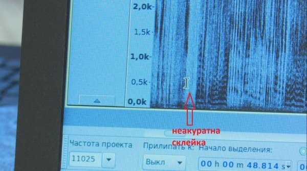 Перша експертиза «записів Курченко-Саакашвілі»: є поєднання елементів різних розмов