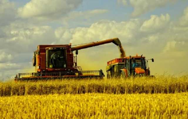 У фермерів відібрали понад 10 млрд грн на користь агрохолдингів, – нардеп