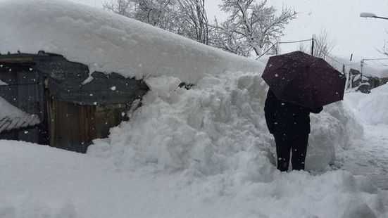 Пересолили. В Киеве чиновники на снеге украли 300 млн грн