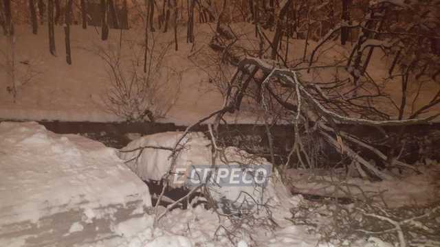 В Печерском районе дерево упало на автомобиль из-за непогоды