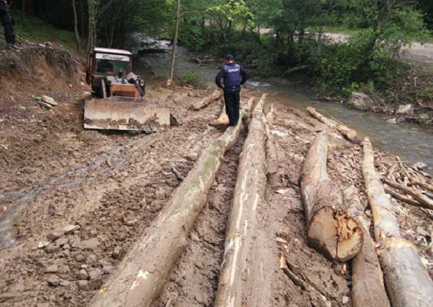 Кадровый апокалипсис в лесном хозяйстве