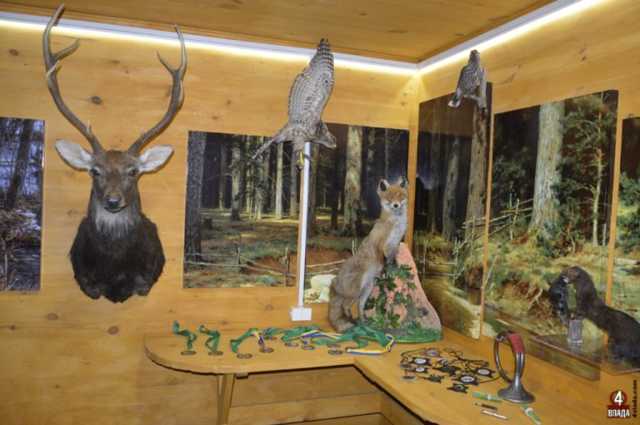 Комплекс для VIP-розваг: що лісівники таємно збудували у волинському ботанічному заказнику