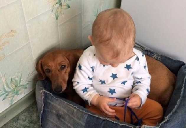 В Запорожье московские попы отказались отпевать трагически погибшего ребенка