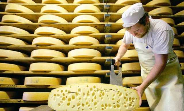 100% польських сирів в Україні є фальсифікатом