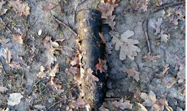 На Киевщине дети у пруда нашли старый артиллерийский снаряд