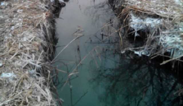 В Киеве нечистоты сливают прямо в озеро