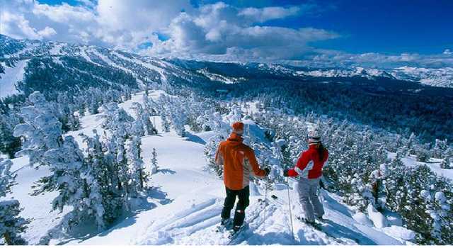 "Оставили в крови на снегу": в сети разгорелся грандиозный скандал вокруг "Буковеля"