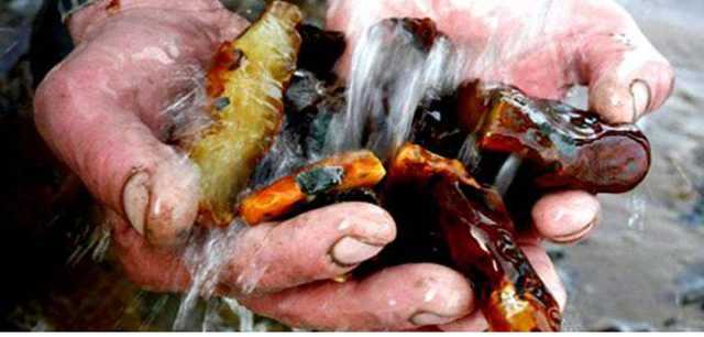 Землю богатую янтарем жителей села на Волыни записали на одну компанию