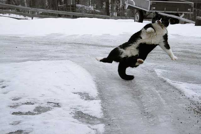 Синоптики обещают мокрый снег и гололед