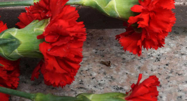 В Одессе прощаются с молодым участковым, которого расстрелял Дорошенко