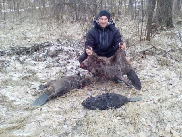 Студент из Житомира похвастался жестоким убийством бобров