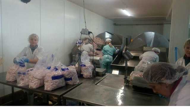 Истории украинских заробитчан: поборы, обман и издевательства как норма жизни