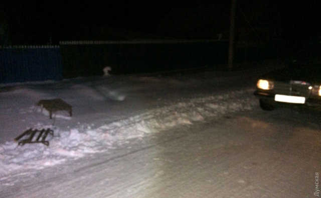 Под Одессой девушки на санках, привязанных к машине, влетели во встречное авто