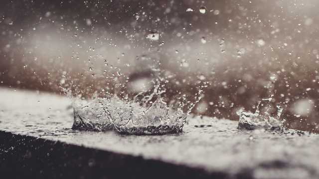 В Киев пришло потепление с дождем