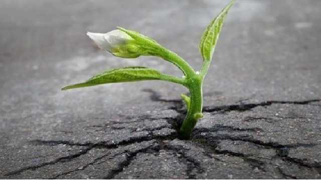 Блогер: Уся історія УНР – УРСР – України – це історія винищення росіянами українства