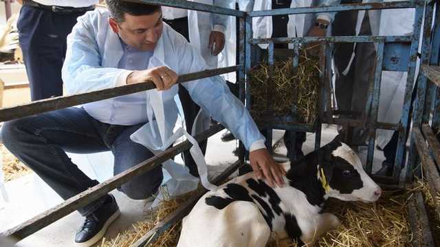 Гройсман "улучшит жизнь" аграриям