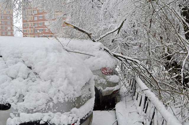 Синоптики обещают снежный день сегодня
