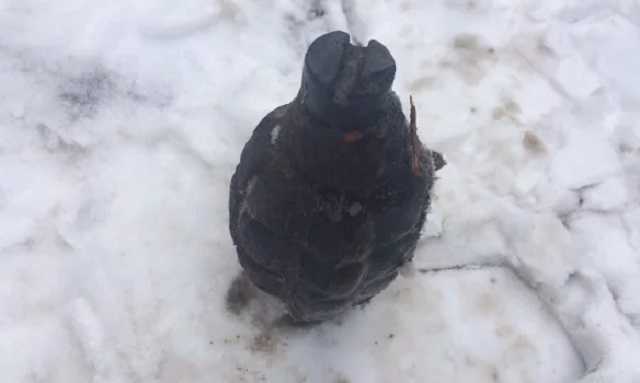 В Харьковской области мальчик нашел гранату возле детского садика