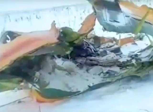 «У меня день рождения»: Чудом выживший пассажир АН-148