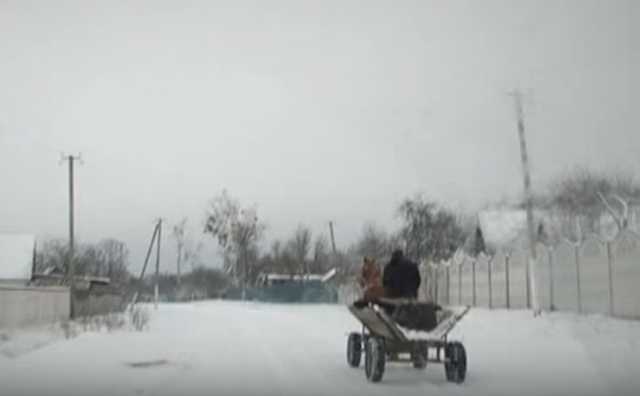 На Житомирщині садисти прив’язали чоловіка до підводи