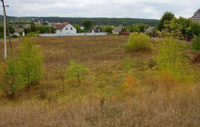 Прокуратура не смогла отобрать земли у бывшей жены Пискуна