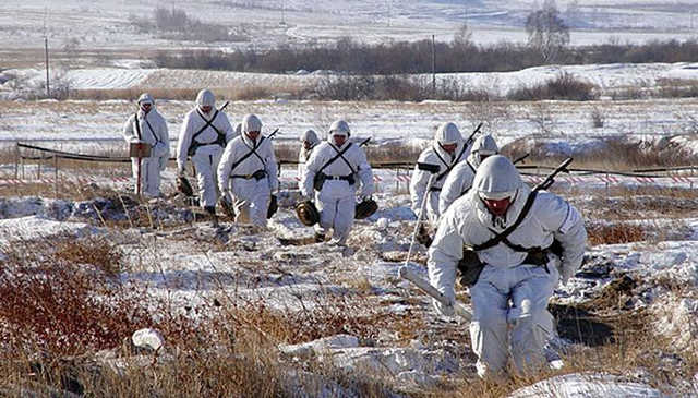 В Станично-Луганский район прибыли российские спецназовцы