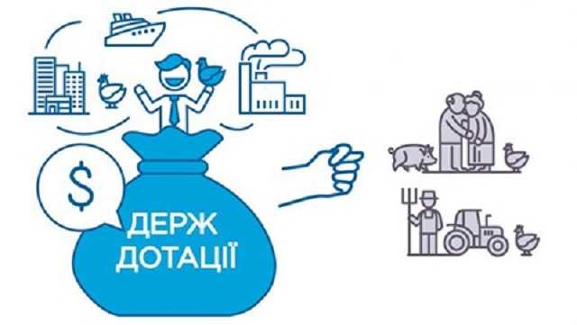 Дотации для куриного олигарха Косюка похожи на коррупционную схему - эксперт