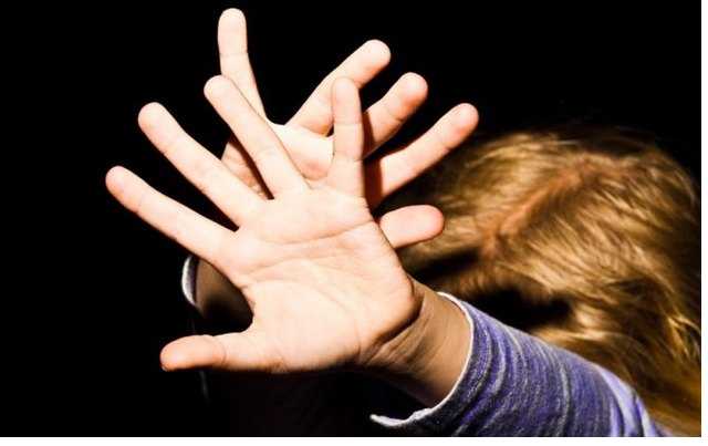 Педагоги награждают педофилов, а Раде - не до детей