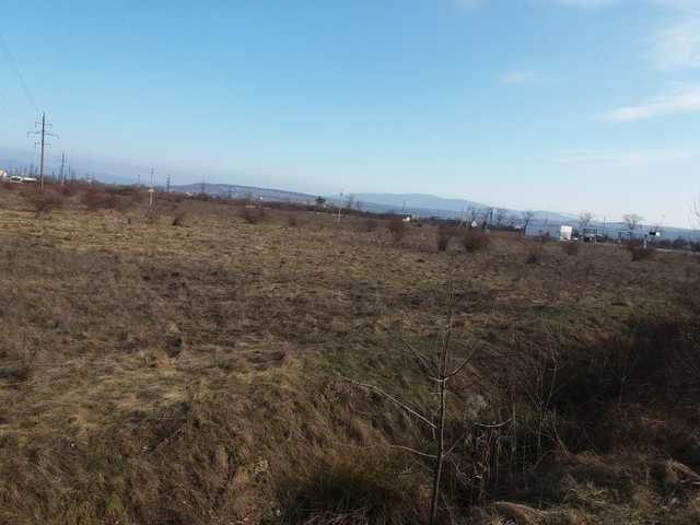 Земельний дерибан під Ужгородом – гектари пасовища біля міжнародної траси роздали за так